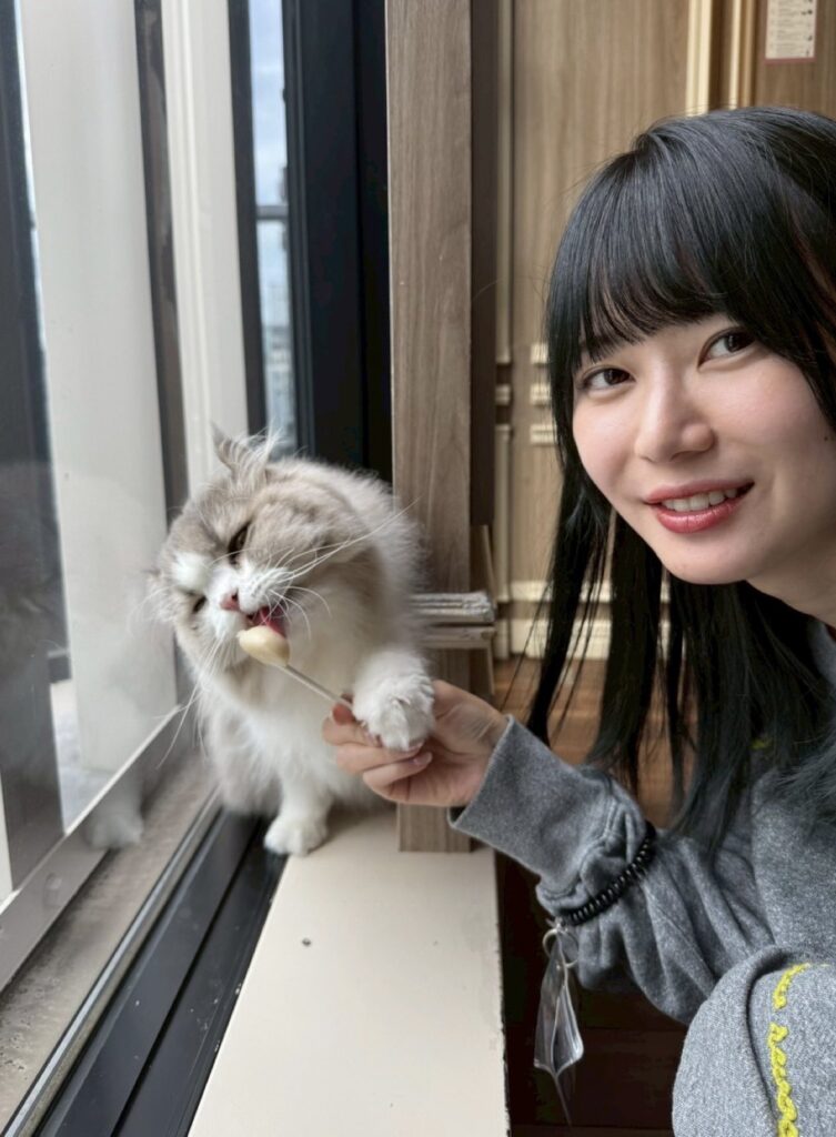 いけちゃん　整形