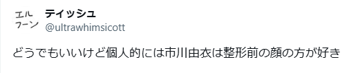 市川由衣 顔変わった 整形