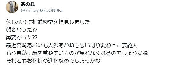 相武紗季 顏変わった 整形