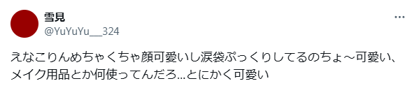 えなこ　顔変わった　整形