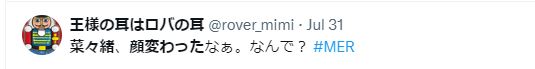 奈々緒 整形 顔変わった