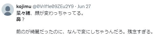 奈々緒 整形 顔変わった