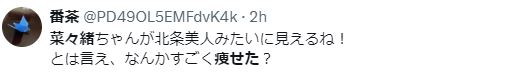 奈々緒 整形 顔変わった