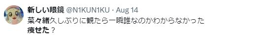奈々緒 整形 顔変わった