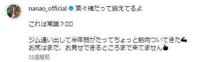 奈々緒 整形 顔変わった