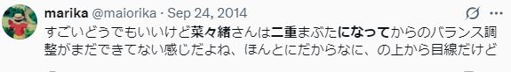 奈々緒 整形 顔変わった
