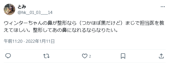 ウィンター　整形　顔変わった
