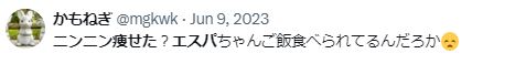 ニンニン 整形 顔変わった