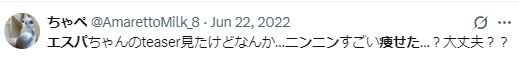 ニンニン 整形 顔変わった