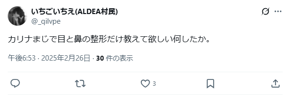 カリナ　整形　顔変わった