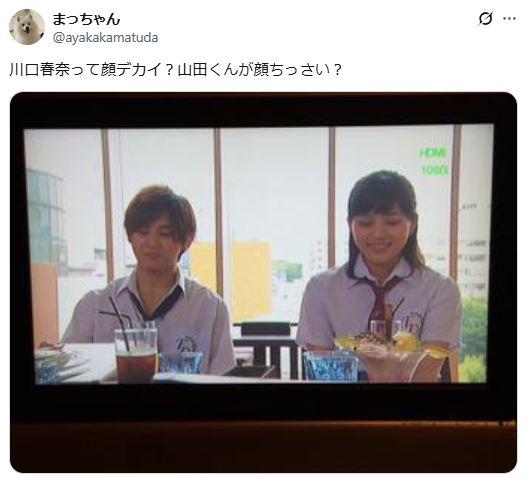 川口春奈　顔デカイ