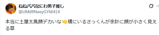 土屋太鳳 顔デカい
