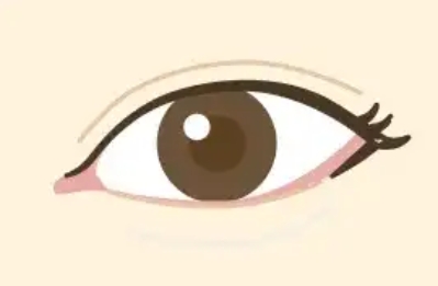 桜井莉菜（さくりな）　整形　顔変わった